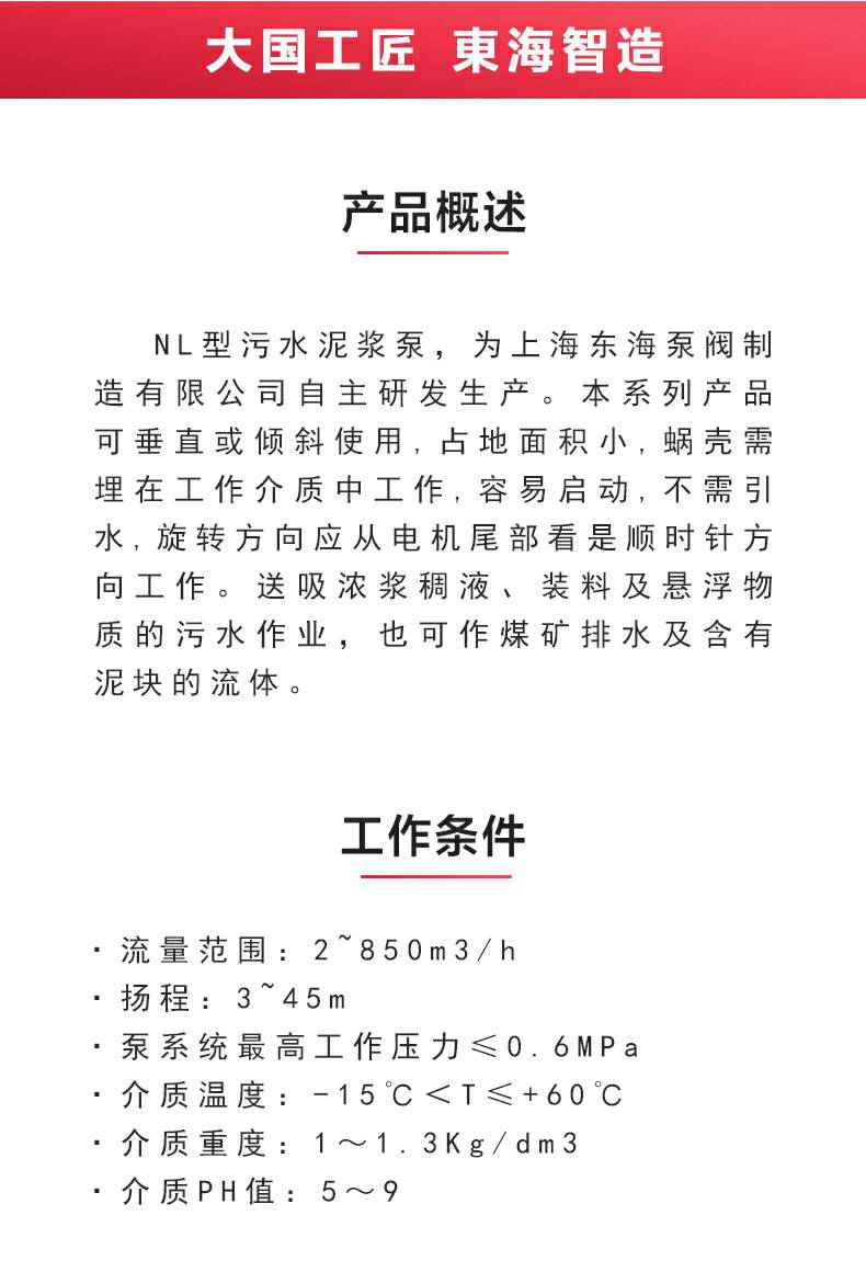 NL型污水泥浆泵_02.jpg